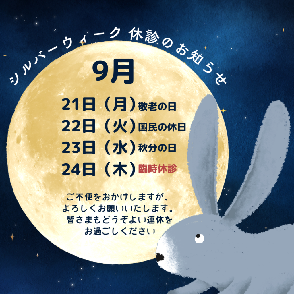 青 白 さわやか 夏 夏季休業 お知らせ Instagram投稿 (Instagramの投稿)